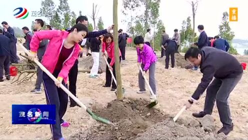 廉江最新今日一线2017