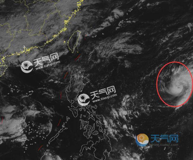 L9号台风最新动态报告，实时更新与影响分析