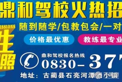 罗村招聘司机最新招聘