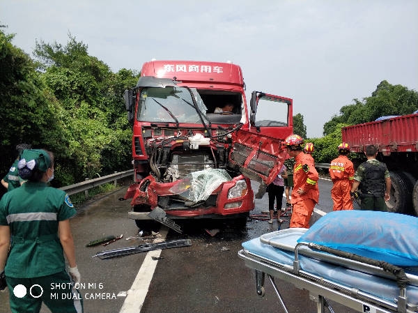 成乐高速车祸事件纪实，悲剧背后的警示与反思